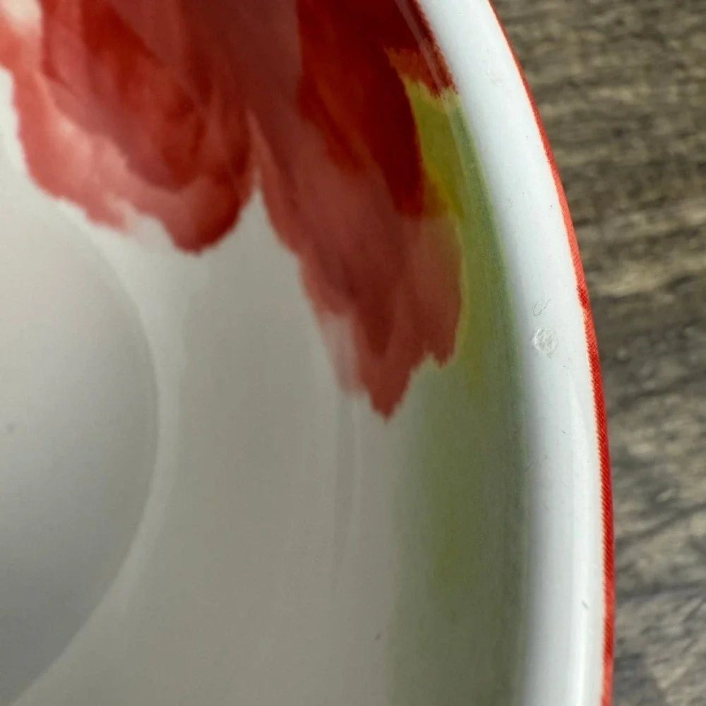 Pier 1 Amelia Floral Ironstone Bowls Set of 2 Colorful Cottage Kitchen 6